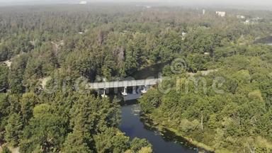 河上的公路桥被森林包围着